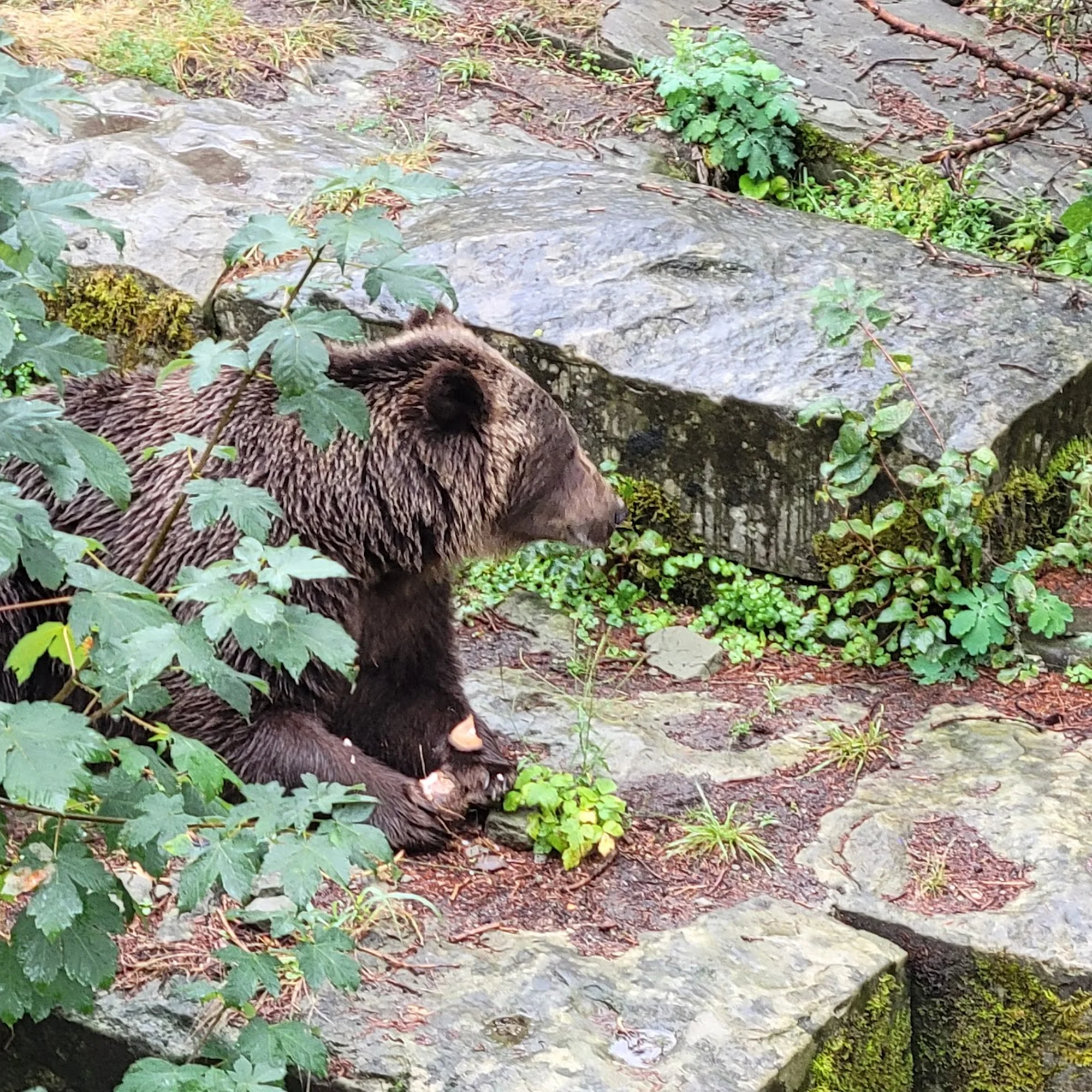 Bern photo 1